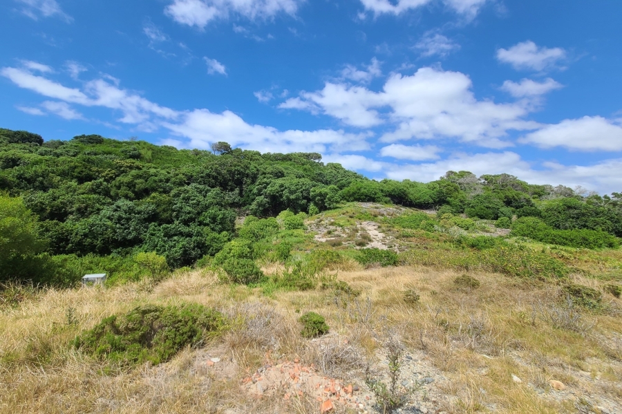 0 Bedroom Property for Sale in Paradise Beach Eastern Cape